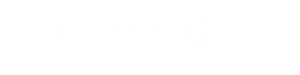 PG模拟器股份有限公司品牌LOGO